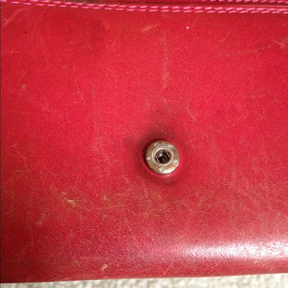 Vera Pelle - Picture 5 of 8